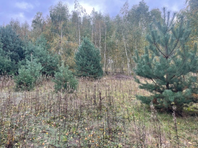 Działka budowlana Barcice Drwalewskie , gmina Chynów, powiat Grójec pow. 0,0431 ha -
Mazowieckie Zdjęcie nr 3