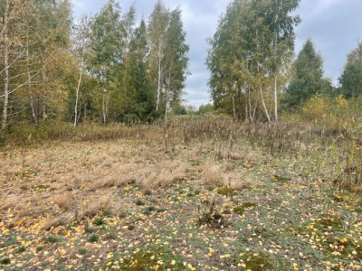 Działka budowlana Barcice Drwalewskie , gmina Chynów, powiat Grójec pow. 0,0345 ha -
Mazowieckie Zdjęcie nr 4