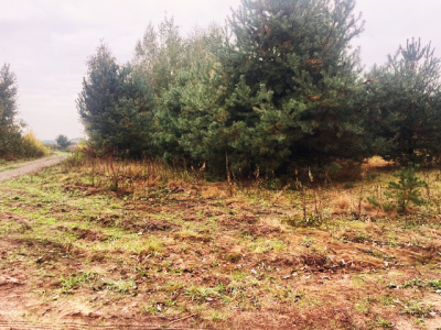 Działka budowlana Barcice Drwalewskie , gmina Chynów, powiat Grójec pow. 0,1378 ha -
Mazowieckie Zdjęcie nr 5