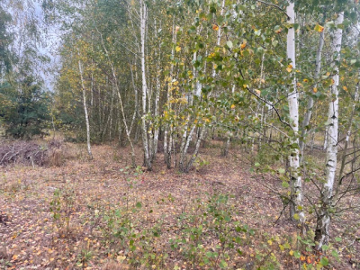 Działka budowlana Barcice Drwalewskie , gmina Chynów, powiat Grójec pow. 0,0431 ha -
Mazowieckie Zdjęcie nr 5