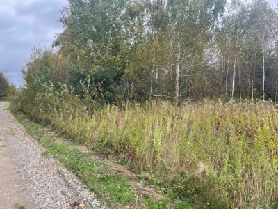 Działka budowlana Barcice Drwalewskie , gmina Chynów, powiat Grójec pow. 0,1108 ha -
Mazowieckie Zdjęcie nr 4