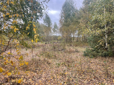 Działka budowlana Barcice Drwalewskie , gmina Chynów, powiat Grójec pow. 0,0976 ha -
Mazowieckie Zdjęcie nr 2