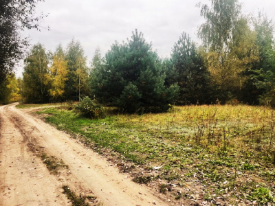 Działka budowlana Barcice Drwalewskie , gmina Chynów, powiat Grójec pow. 0,1026ha -
Mazowieckie Zdjęcie nr 4