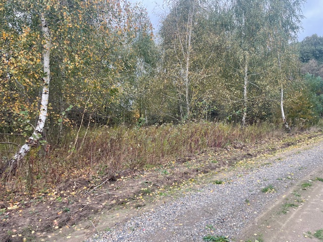 Działka budowlana Barcice Drwalewskie , gmina Chynów, powiat Grójec pow. 0,1026ha -
Mazowieckie Zdjęcie nr 1