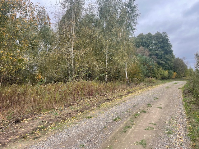 Działka budowlana Barcice Drwalewskie , gmina Chynów, powiat Grójec pow. 0,0431 ha -
Mazowieckie Zdjęcie nr 1