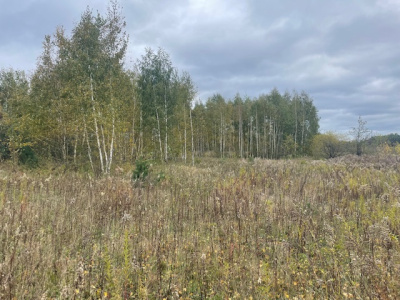 Działka budowlana Barcice Drwalewskie , gmina Chynów, powiat Grójec pow. 0,0900 ha -
Mazowieckie Zdjęcie nr 3