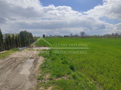 Na sprzedaż działka rolna - Panieńszczyzna -
lubelskie Zdjęcie nr 5