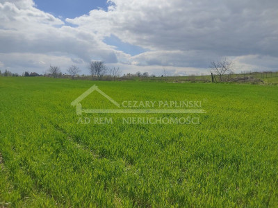 Na sprzedaż działka rolna - Panieńszczyzna -
lubelskie Zdjęcie nr 6