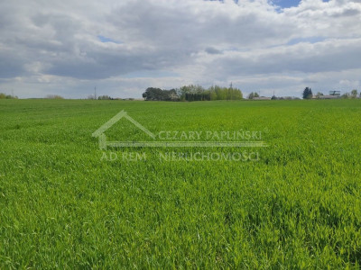 Na sprzedaż działka rolna - Panieńszczyzna -
lubelskie Zdjęcie nr 7