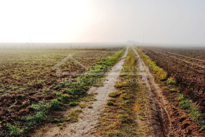 Na sprzedaż działka budowlana - Dziuchów -
lubelskie Zdjęcie nr 12