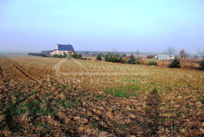 Na sprzedaż działka budowlana - Dziuchów -
lubelskie Zdjęcie nr 4