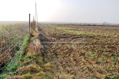 Na sprzedaż działka budowlana - Dziuchów -
lubelskie Zdjęcie nr 6