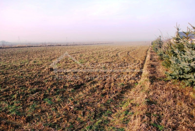 Na sprzedaż działka budowlana - Dziuchów -
lubelskie Zdjęcie nr 8