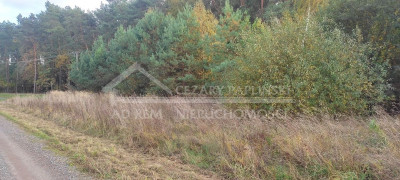 Na sprzedaż działka budowlana - Zalesie -
lubelskie Zdjęcie nr 6