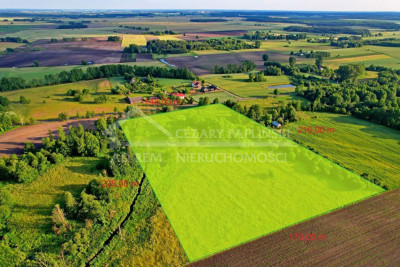 Na sprzedaż działka inwestycyjna - Dobratycze-Kolonia -
lubelskie Zdjęcie nr 3