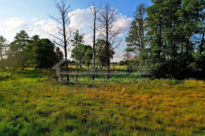 Na sprzedaż działka inwestycyjna - Dobratycze-Kolonia -
lubelskie Zdjęcie nr 6