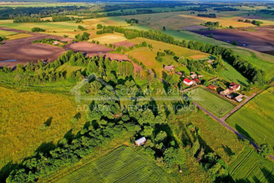 Na sprzedaż działka inwestycyjna - Dobratycze-Kolonia -
lubelskie Zdjęcie nr 7