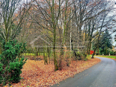 Na sprzedaż działka rekreacyjna - Konopnica -
lubelskie Zdjęcie nr 6