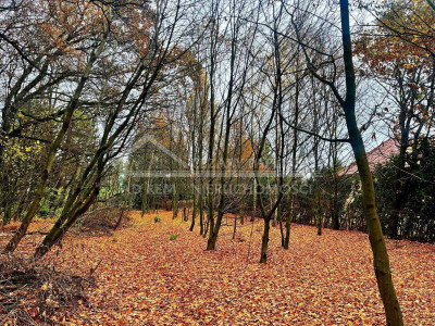 Na sprzedaż działka rekreacyjna - Konopnica -
lubelskie Zdjęcie nr 7