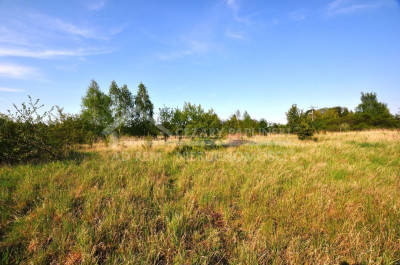 Na sprzedaż działka budowlana - Łuszczów Pierwszy -
lubelskie Zdjęcie nr 10
