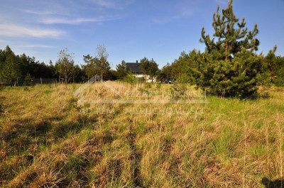 Na sprzedaż działka budowlana - Łuszczów Pierwszy -
lubelskie Zdjęcie nr 11