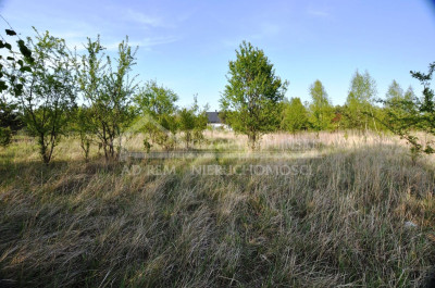 Na sprzedaż działka budowlana - Łuszczów Pierwszy -
lubelskie Zdjęcie nr 8