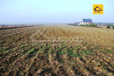 Na sprzedaż działka budowlana - Dziuchów - lubelskie