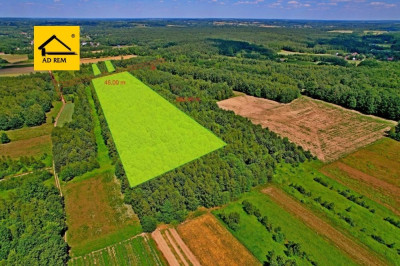 Na sprzedaż działka rolna - Uściąż - lubelskie