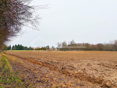 Na sprzedaż działka budowlana - Konopnica -
lubelskie Zdjęcie nr 7