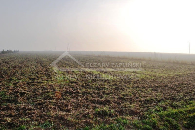 Na sprzedaż działka budowlana - Dziuchów -
lubelskie Zdjęcie nr 11