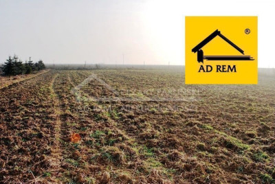 Na sprzedaż działka budowlana - Dziuchów -
lubelskie Zdjęcie nr 15