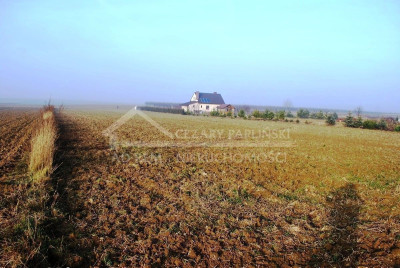 Na sprzedaż działka budowlana - Dziuchów -
lubelskie Zdjęcie nr 3