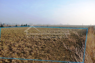 Na sprzedaż działka budowlana - Dziuchów -
lubelskie Zdjęcie nr 9