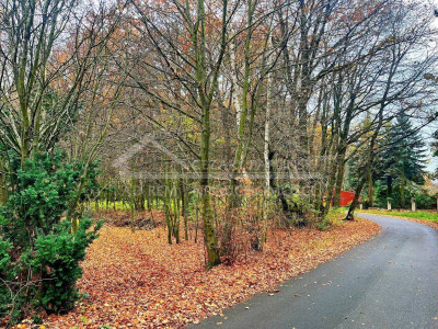 Na sprzedaż działka rolna - Konopnica -
lubelskie Zdjęcie nr 2