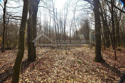 Na sprzedaż działka budowlana - Trojaczkowice -
lubelskie Zdjęcie nr 15