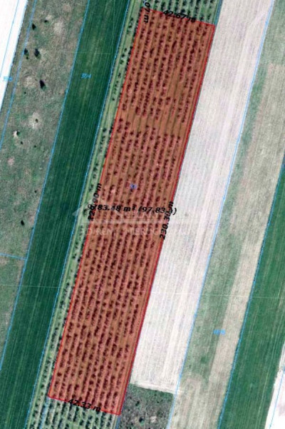 Na sprzedaż działka budowlana - Sławacinek Nowy -
lubelskie Zdjęcie nr 3