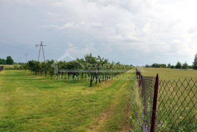 Na sprzedaż działka budowlana - Sławacinek Nowy -
lubelskie Zdjęcie nr 3