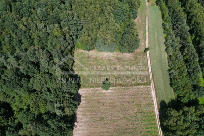 Na sprzedaż działka rekreacyjna - Uściąż -
lubelskie Zdjęcie nr 4