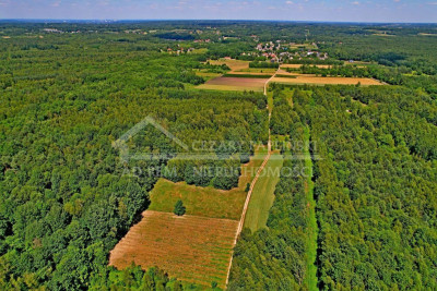 Na sprzedaż działka rekreacyjna - Uściąż -
lubelskie Zdjęcie nr 3