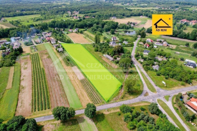 Na sprzedaż działka budowlana - Uściąż -
lubelskie Zdjęcie nr 2