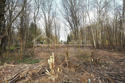 Na sprzedaż działka budowlana - Trojaczkowice -
lubelskie Zdjęcie nr 11