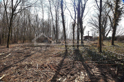 Na sprzedaż działka budowlana - Trojaczkowice -
lubelskie Zdjęcie nr 8