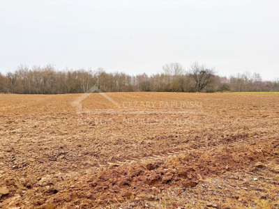 Na sprzedaż działka inwestycyjna - Konopnica -
lubelskie Zdjęcie nr 8
