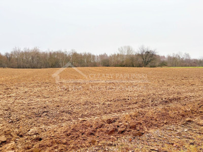 Na sprzedaż działka budowlana - Konopnica -
lubelskie Zdjęcie nr 8