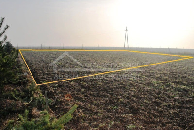 Na sprzedaż działka budowlana - Dziuchów -
lubelskie Zdjęcie nr 5