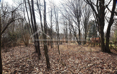 Na sprzedaż działka budowlana - Trojaczkowice -
lubelskie Zdjęcie nr 12