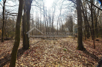 Na sprzedaż działka budowlana - Trojaczkowice -
lubelskie Zdjęcie nr 15