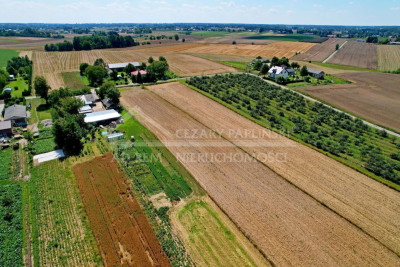 Na sprzedaż działka budowlana - Sieprawice -
lubelskie Zdjęcie nr 4