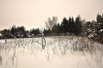 Na sprzedaż działka budowlana - Sumin -
lubelskie Zdjęcie nr 3