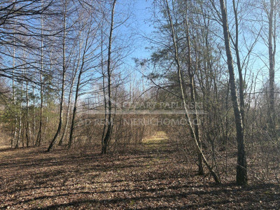 Na sprzedaż działka budowlana - Kębło -
lubelskie Zdjęcie nr 5